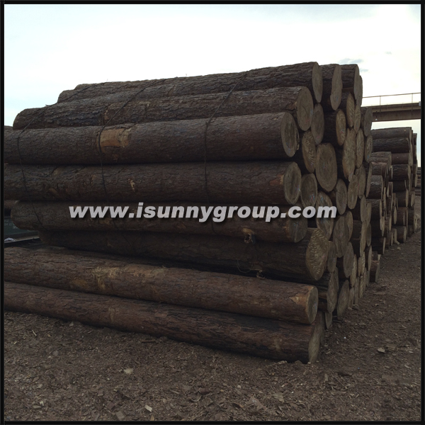Timber Scantlings